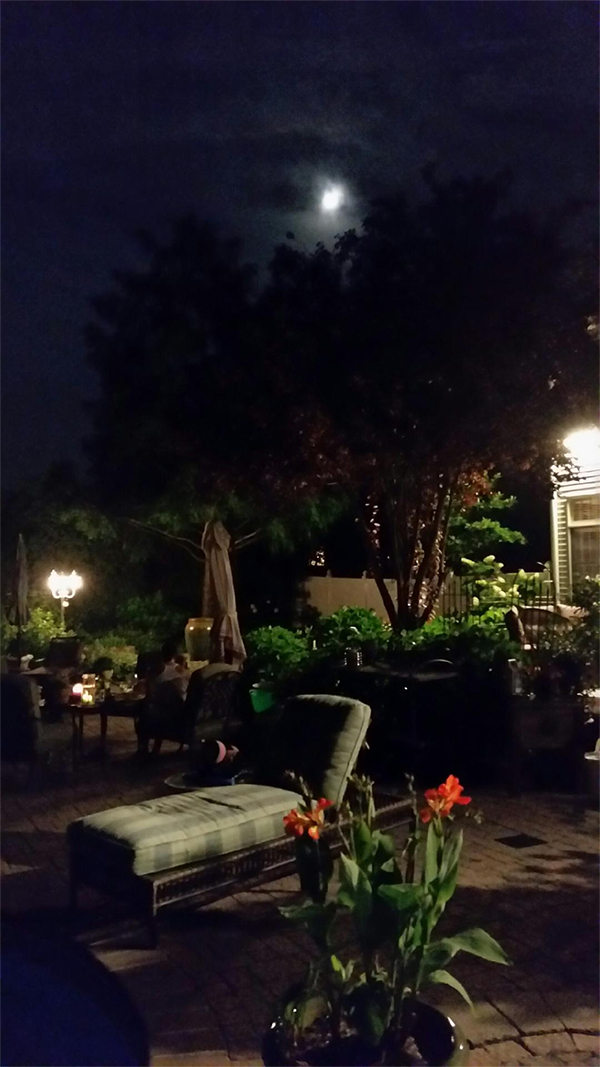 Backyard Summer Night